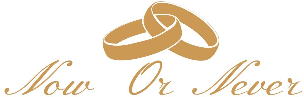 Now Or Never Logo